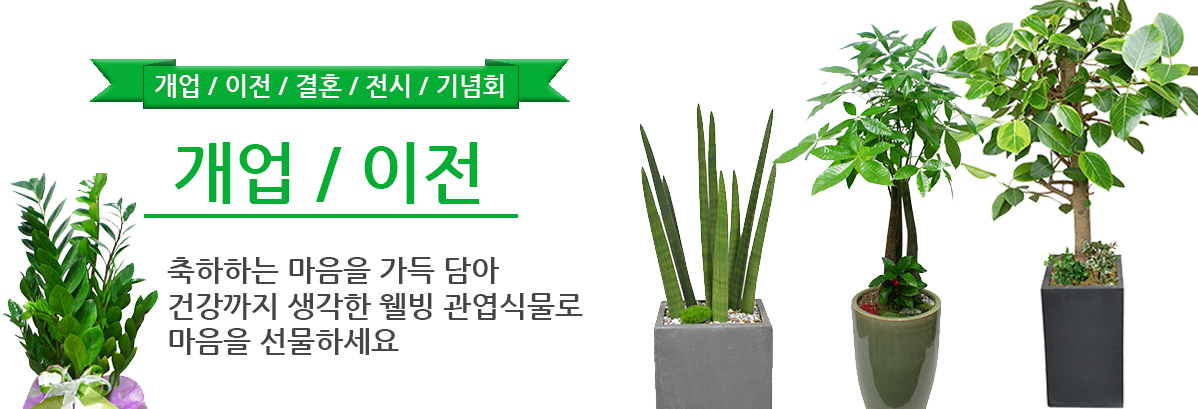 개업/이전